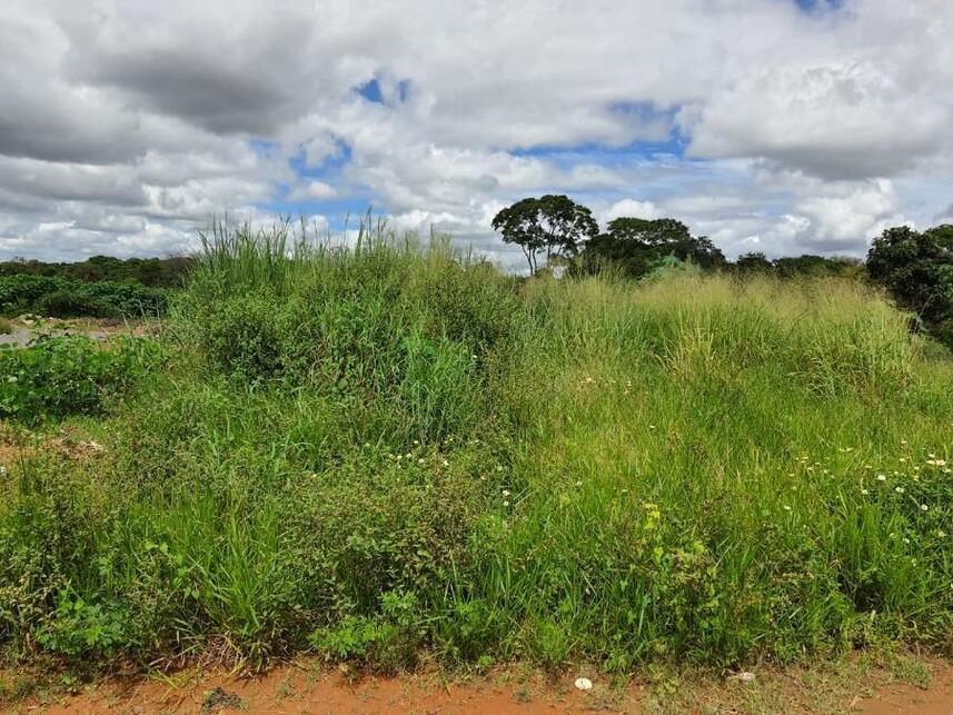 Imagem 2 do Leilão de Terreno - Parque Jk - Luziânia/GO