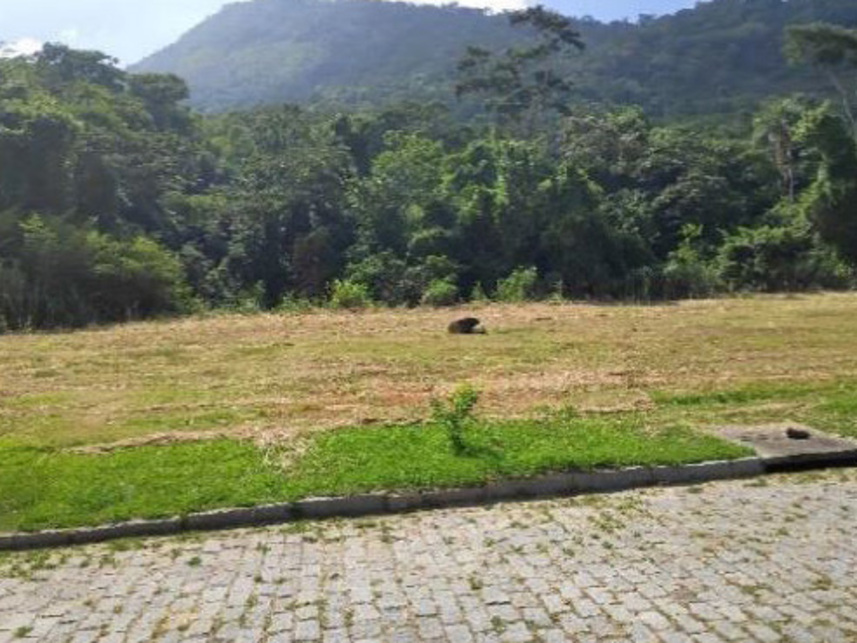 Imagem 6 do Leilão de Terreno - Pilar - Maricá/RJ