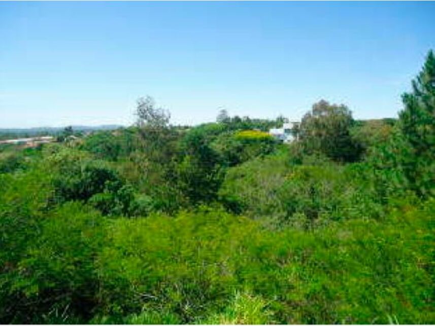 Imagem 4 do Leilão de Terrenos - Planalto - Viamão/RS