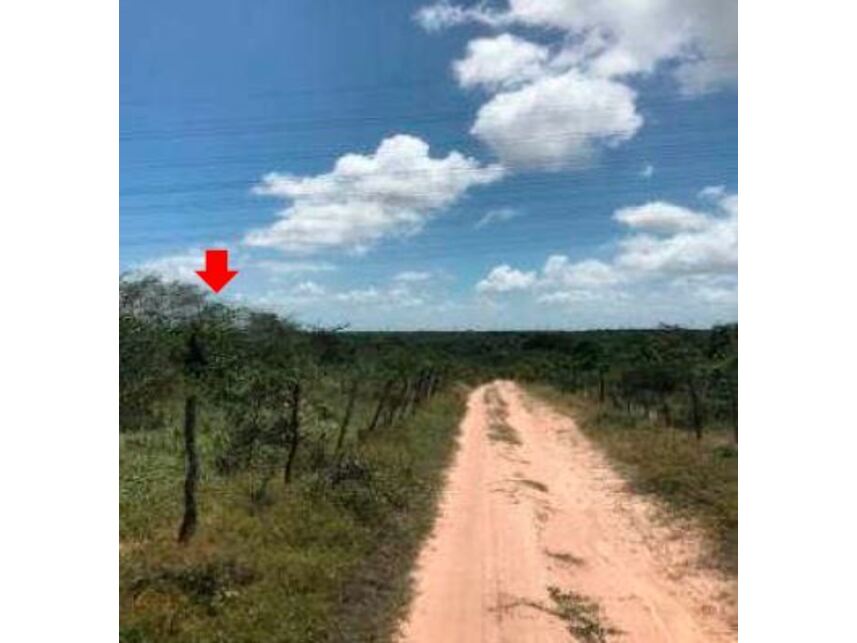 Imagem 5 do Leilão de Terreno - Loteamento Bosque Residencial - São Gonçalo do Amarante/RN