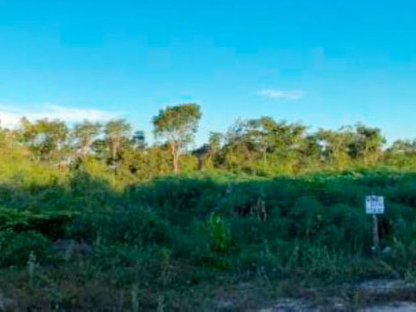 Imagem 1 do Leilão de Terreno - Parque Moisés Amorim - Chapadinha/MA