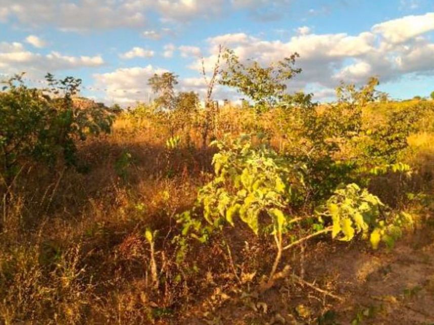 Imagem 8 do Leilão de Terreno - Jardim da Barragem Iv - Águas Lindas de Goiás/GO