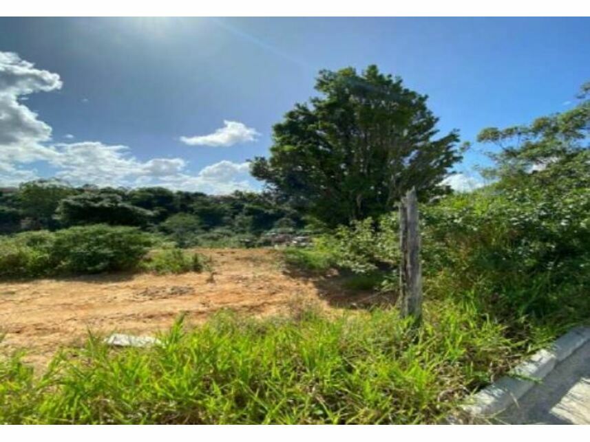 Imagem  do Leilão de Terreno - Costa Rica - Eunápolis/BA