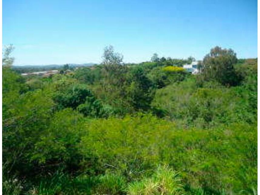 Imagem 6 do Leilão de Terrenos - Planalto - Viamão/RS