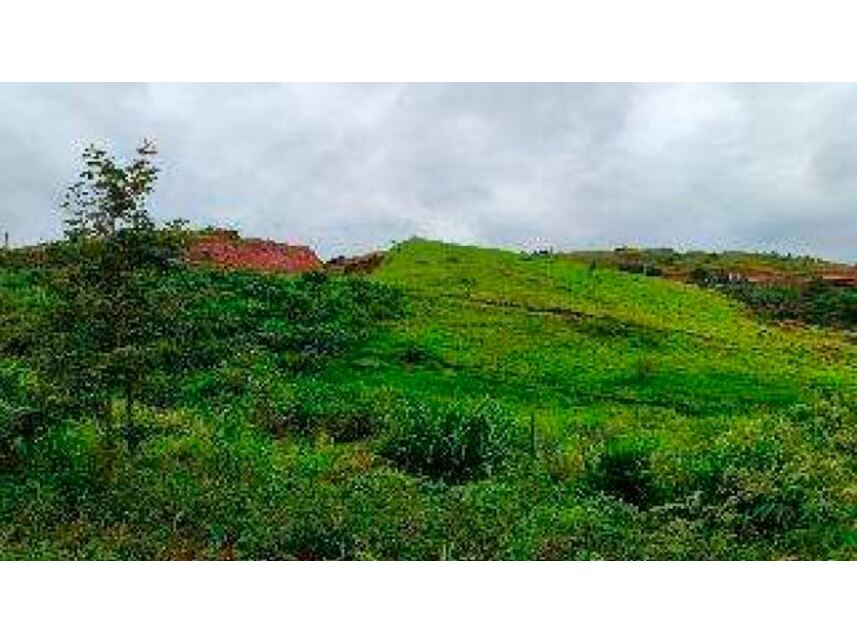 Imagem 4 do Leilão de Terreno - Morada da Garça - Matias Barbosa/MG