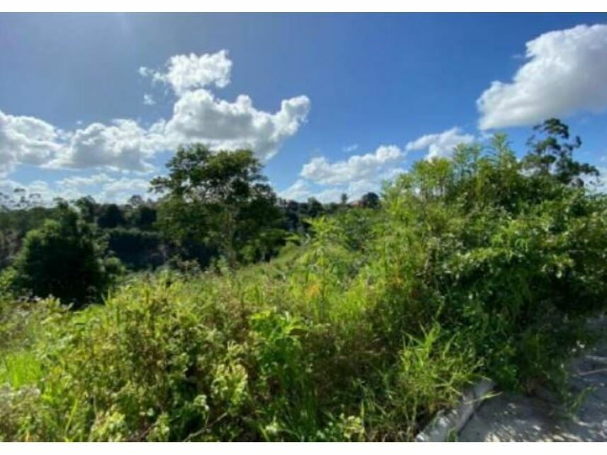 Imagem 3 do Leilão de Terreno - Costa Rica - Eunápolis/BA