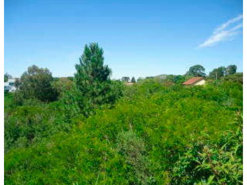 Imagem 5 do Leilão de Terrenos - Planalto - Viamão/RS
