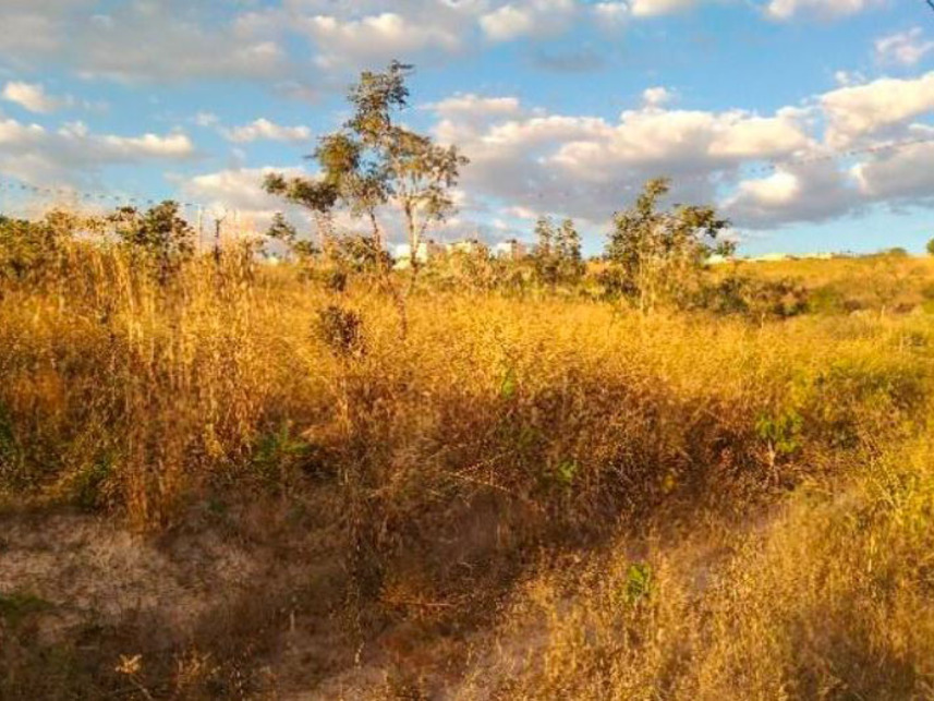 Imagem 3 do Leilão de Terreno - Jardim da Barragem Iv - Águas Lindas de Goiás/GO