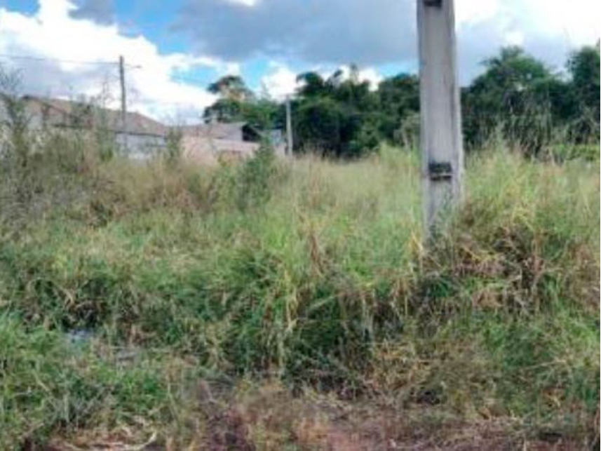 Imagem 4 do Leilão de Terreno - Setor Industrial - Pires do Rio/GO