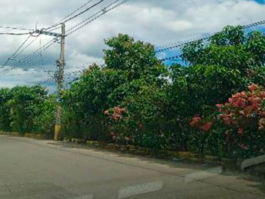 Imagem 1 do Leilão de Terreno - Santa Cruz - Rio de Janeiro/RJ