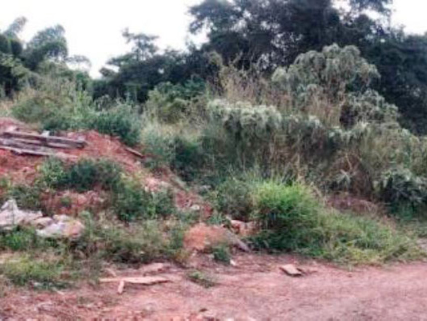 Imagem 2 do Leilão de Terreno - Setor Industrial - Pires do Rio/GO