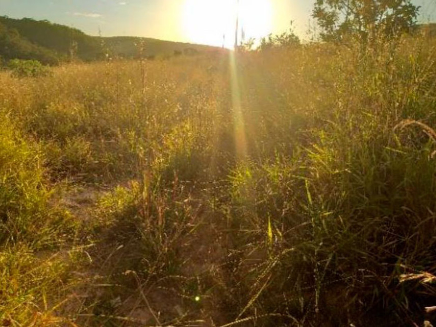 Imagem 9 do Leilão de Terreno - Jardim da Barragem Iv - Águas Lindas de Goiás/GO