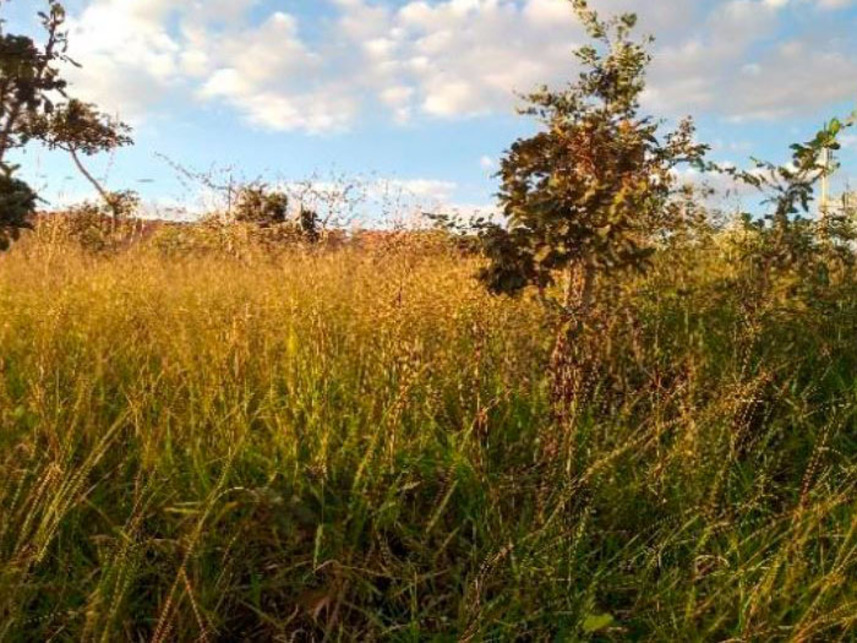 Imagem 7 do Leilão de Terreno - Jardim da Barragem Iv - Águas Lindas de Goiás/GO