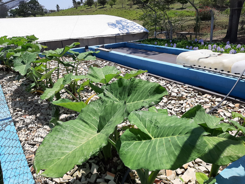 Imagem 19 do Leilão de Sítio - Jundiacanga - Araçoiaba da Serra/SP