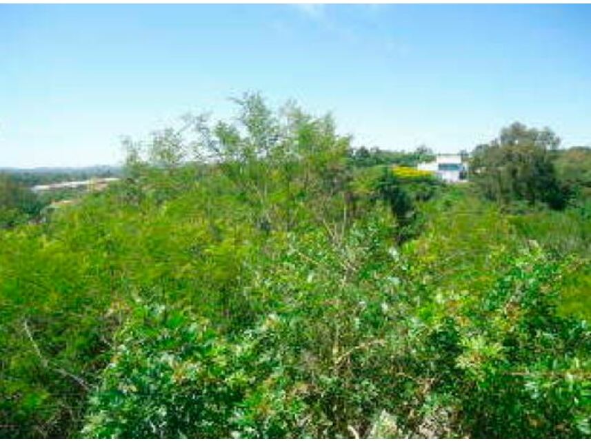 Imagem 7 do Leilão de Terrenos - Planalto - Viamão/RS