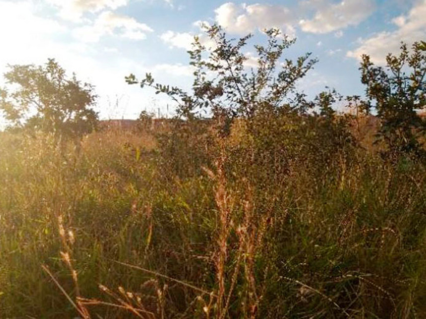 Imagem 6 do Leilão de Terreno - Jardim da Barragem Iv - Águas Lindas de Goiás/GO