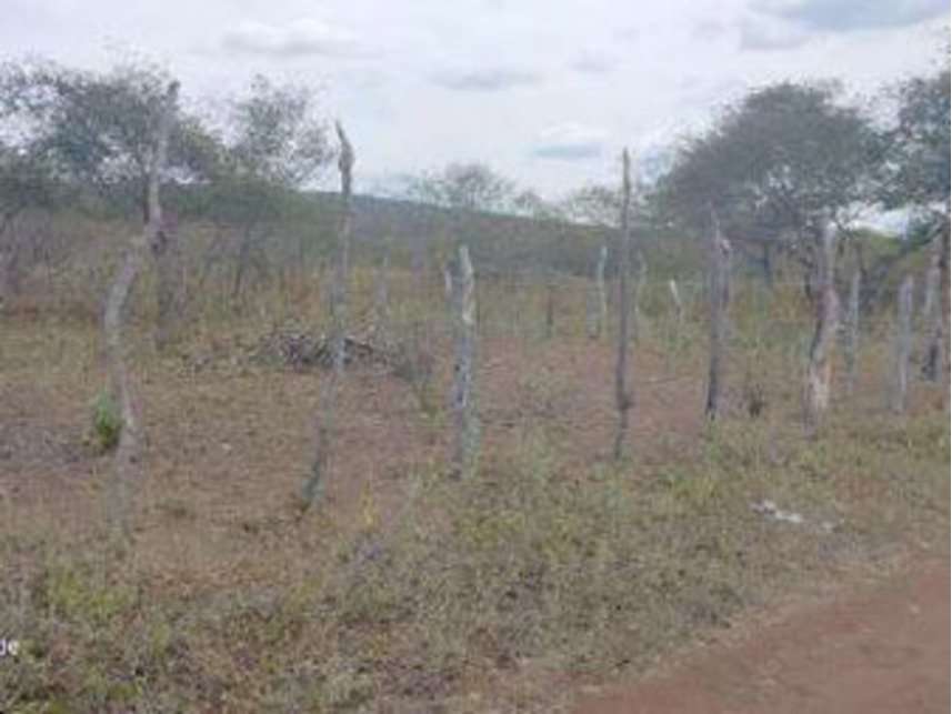 Imagem 5 do Leilão de Área Rural - Zona Rural - Mirangaba/BA