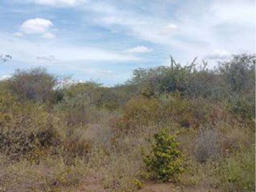 Imagem 7 do Leilão de Área Rural - Zona Rural - Mirangaba/BA