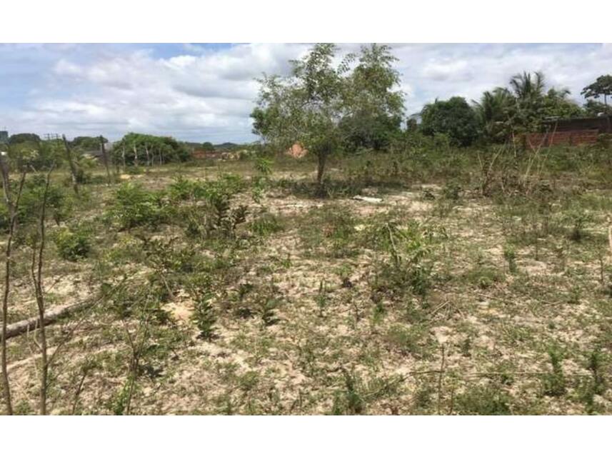 Imagem 3 do Leilão de Terreno - Cascalheira - Camaçari/BA