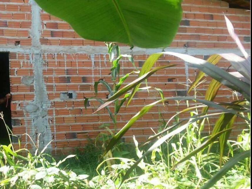 Imagem 3 do Leilão de Casa - Centro - Magalhães de Almeida/MA