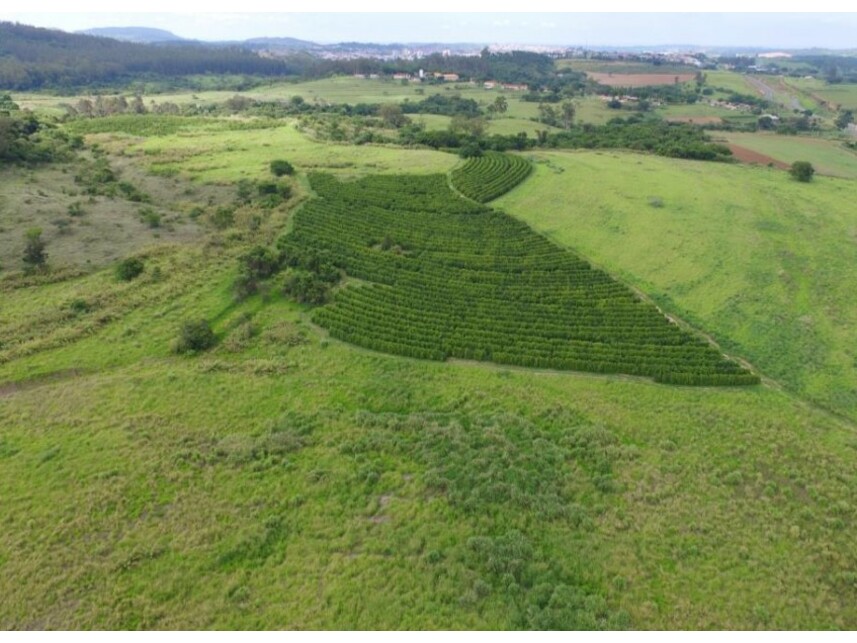 Imagem 3 do Leilão de Fazenda - Zona Rural - Espírito Santo do Pinhal/SP
