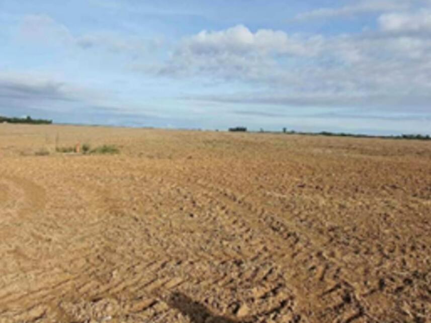 Imagem 2 do Leilão de Terreno - Parque esperança - Luziânia/GO