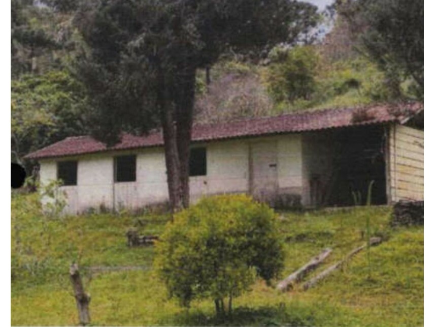 Imagem 7 do Leilão de Sítio - Zona Rural - Cunha/SP