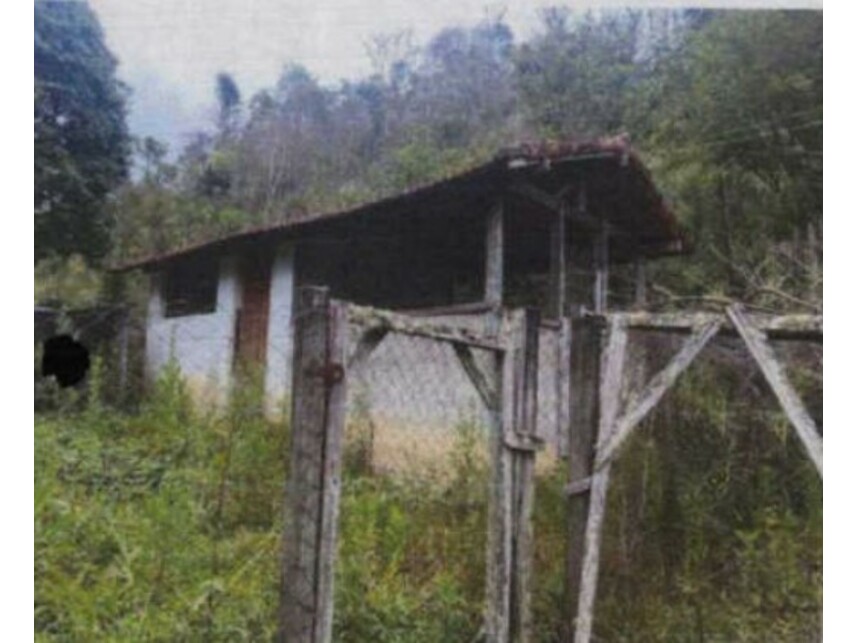 Imagem 14 do Leilão de Sítio - Zona Rural - Cunha/SP