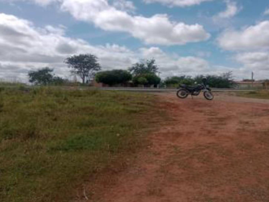 Imagem 4 do Leilão de Área Rural - Km 420 - Ipaumirim/CE