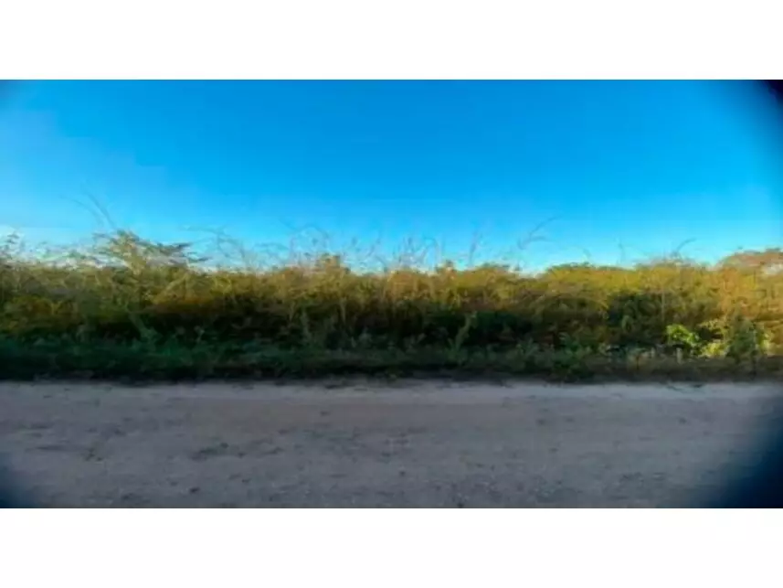 Imagem  do Leilão de Terreno - Parque Moisés Amorim - Chapadinha/MA