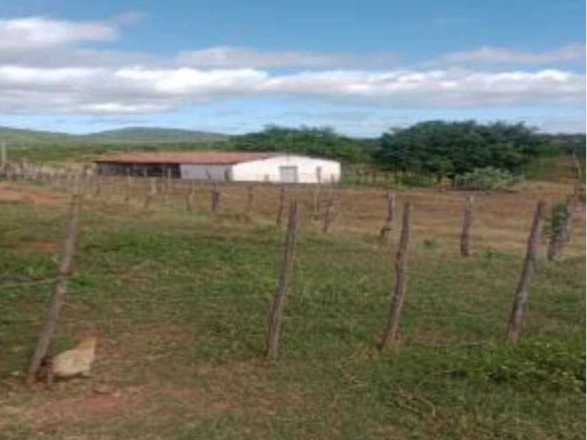 Imagem 8 do Leilão de Área Rural - Km 420 - Ipaumirim/CE