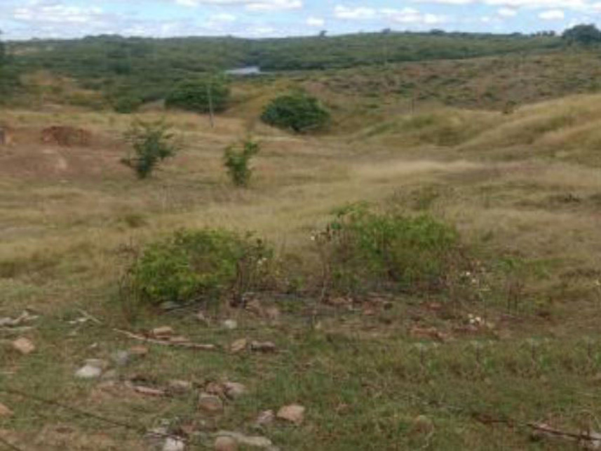 Imagem 3 do Leilão de Área Rural - Km 420 - Ipaumirim/CE