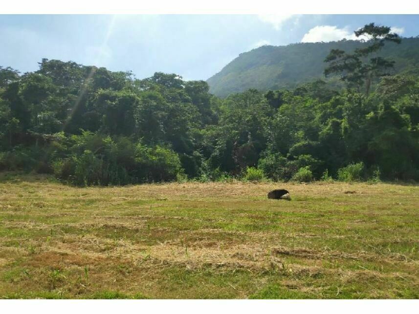 Imagem  do Leilão de Terreno - Condomínio Residencial Pedra do Vale Pilar - Maricá/RJ