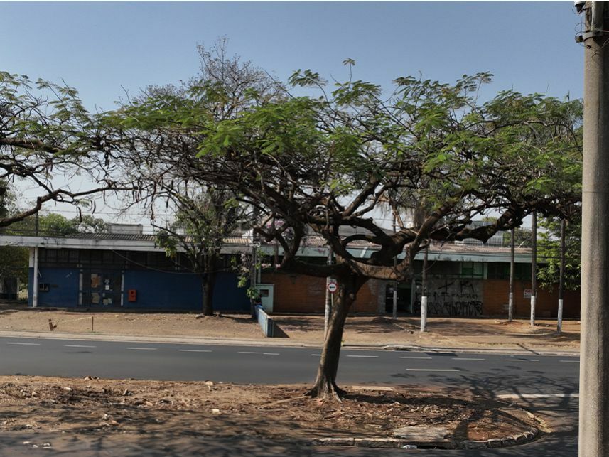 Imagem 6 do Leilão de Terreno c/benfeitorias - Campos Elíseos - Ribeirão Preto/SP