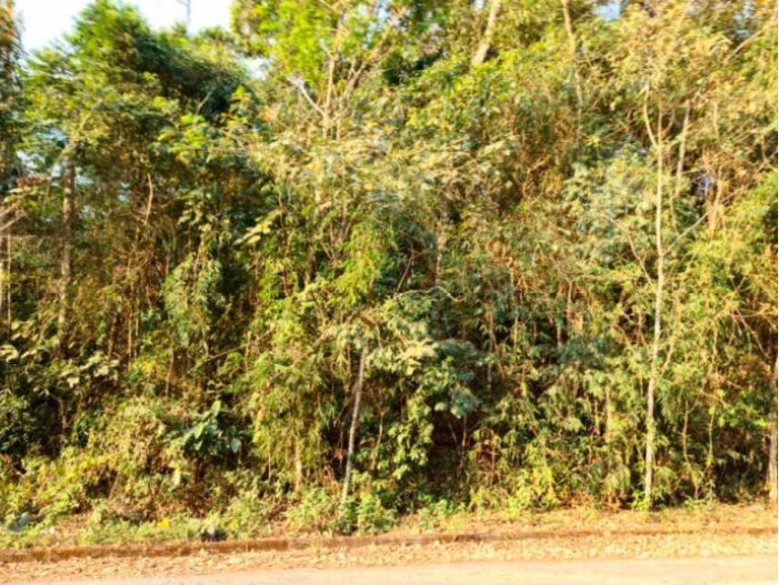 Imagem 1 do Leilão de Terreno - Fazenda Capelinha - Mogi das Cruzes/SP