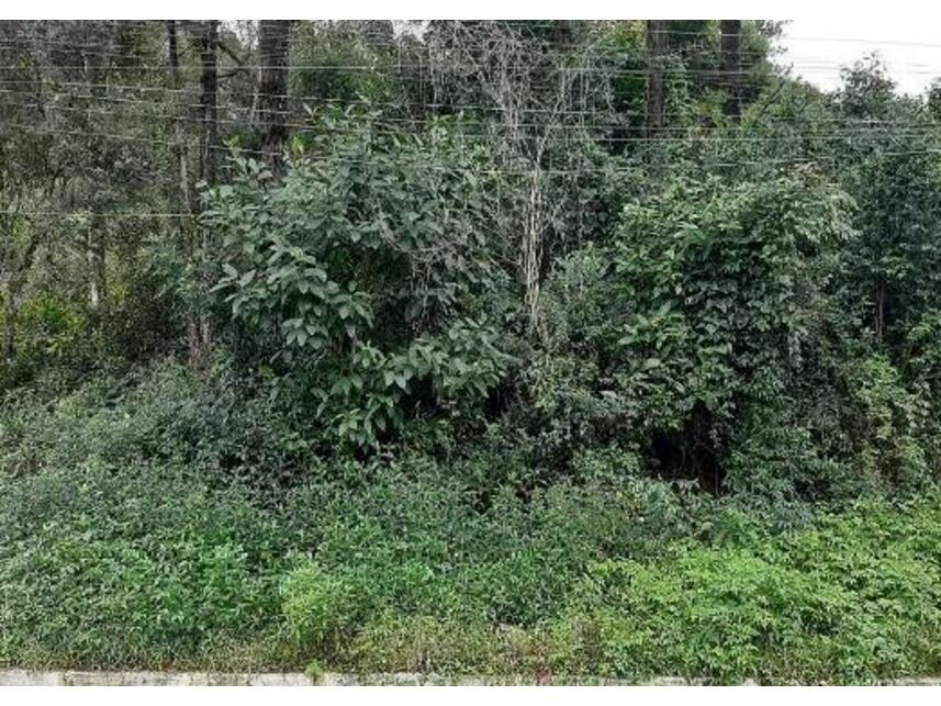 Imagem  do Leilão de Terreno - Rondônia - Novo Hamburgo/RS