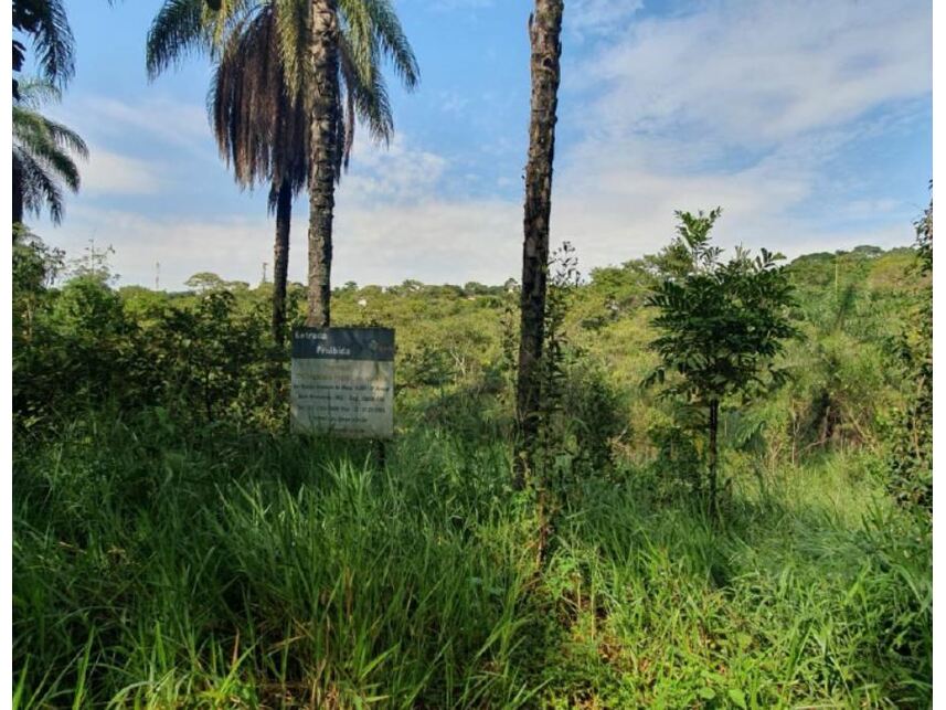 Imagem 3 do Leilão de Terreno - Braúnas - Belo Horizonte/MG