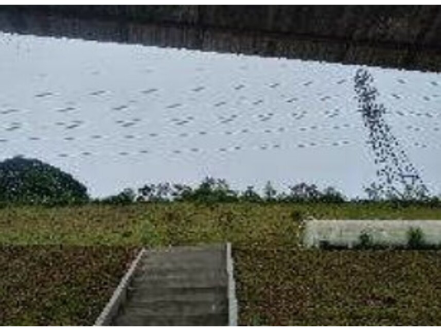 Imagem 7 do Leilão de Terreno - Potuverá - Itapecerica da Serra/SP