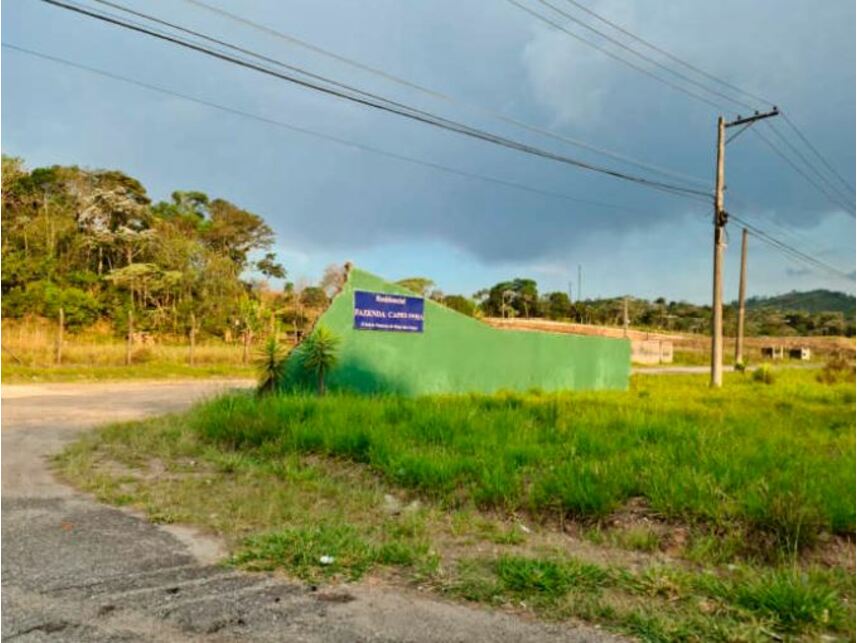 Imagem 4 do Leilão de Terreno - Fazenda Capelinha - Mogi das Cruzes/SP