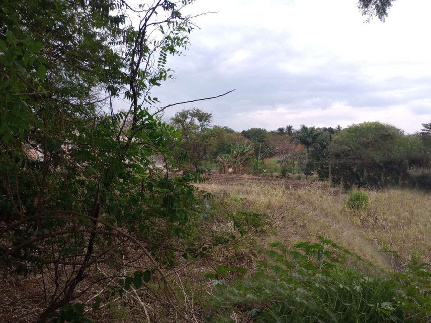 Imagem 5 do Leilão de Terreno c/benfeitorias - Campos Elíseos - Ribeirão Preto/SP