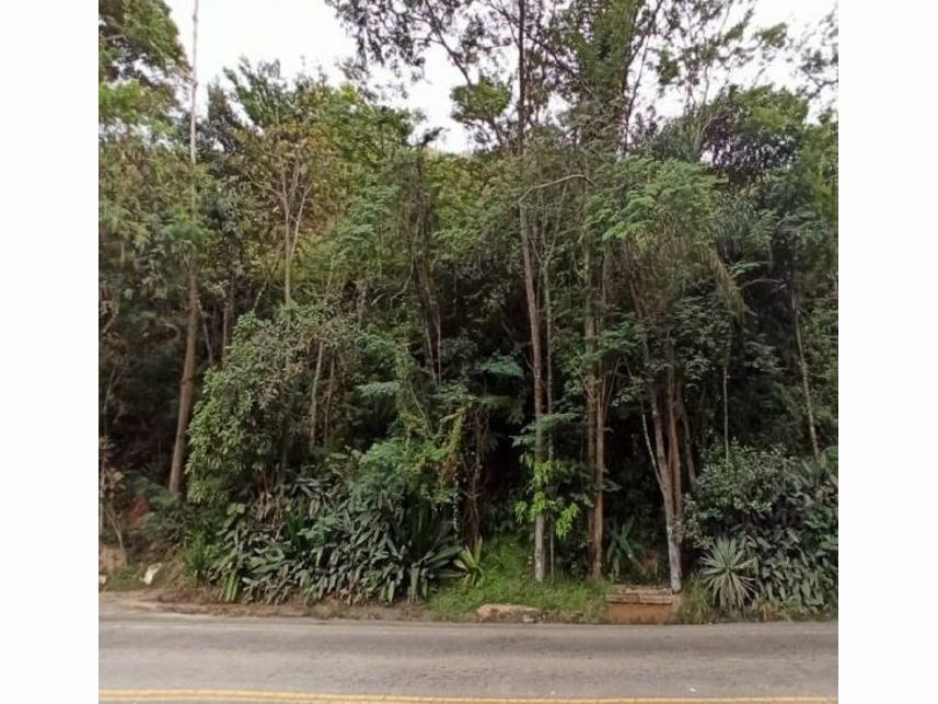 Imagem  do Leilão de Terreno - Santo Antonio do Paraibuna - Juiz de Fora/MG