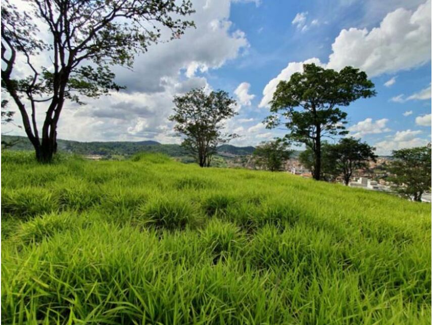 Imagem 10 do Leilão de Terreno - Jardim de Alá -Justinópolis - Ribeirão das Neves/MG