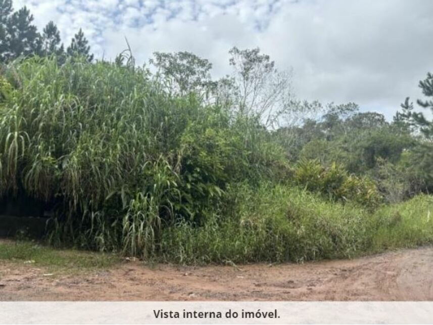 Imagem 5 do Leilão de Terreno - Potuverá - Itapecerica da Serra/SP