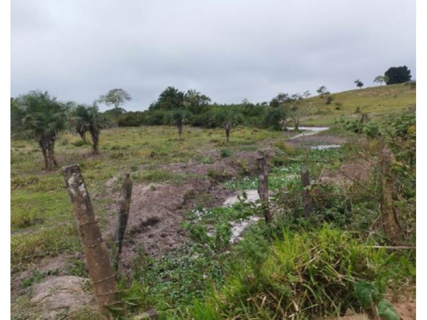 Imagem 4 do Imóvel a venda - Terreno - Humildes - Feira de Santana/BA