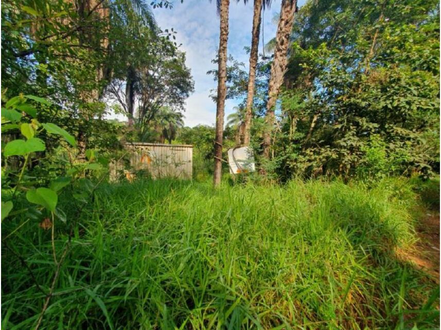 Imagem 2 do Leilão de Terreno - Braúnas - Belo Horizonte/MG