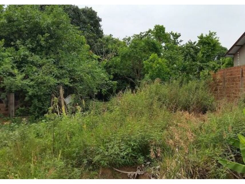 Imagem 2 do Leilão de Terreno - Jardim Uirapuru - Campo Grande/MS