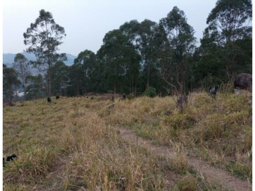 Imagem 25 do Leilão de Área Rural - Olho Dágua - Mairiporã/SP