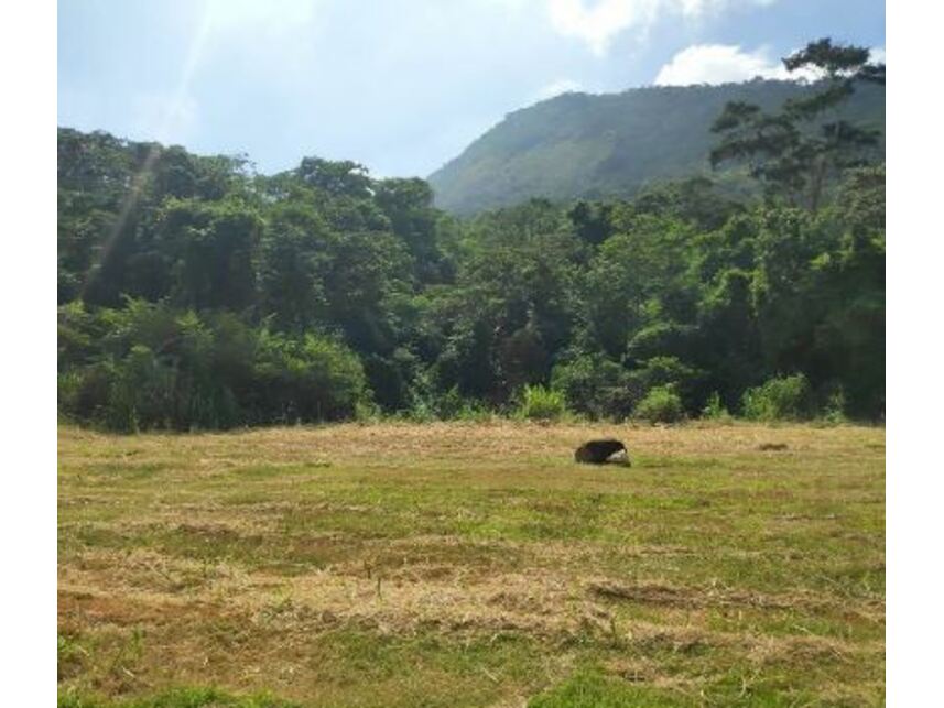 Imagem  do Leilão de Terreno - Condomínio Residencial Pedra do Vale Pilar - Maricá/RJ