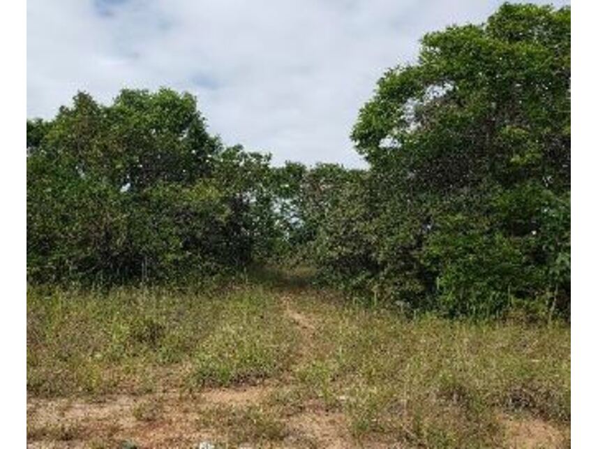 Imagem 6 do Leilão de Terreno - Distrito de Abrantes - Camaçari/BA