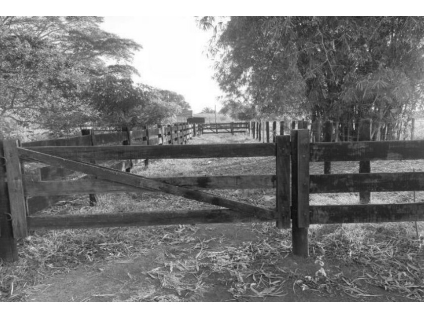 Imagem 1 do Leilão de Chácara - Zona Rural - São José dos Quatro Marcos/MT